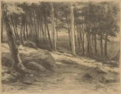 Edge of the Forest