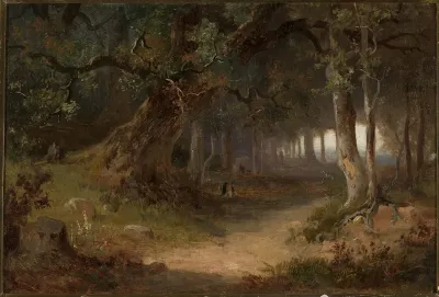 Edge of the forest