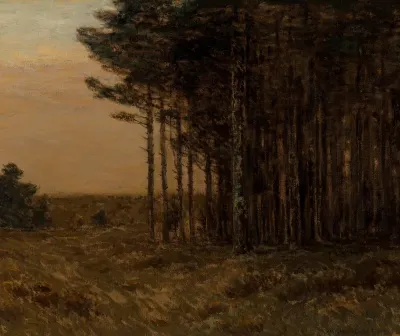 Edge of the Forest