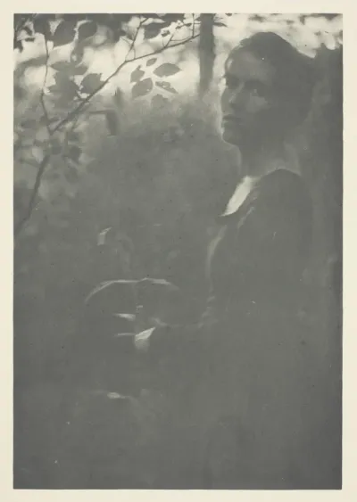 Edge of Woods, No. 10 from the portfolio "American Pictorial Photography, Series II” (1901); edition 34/150