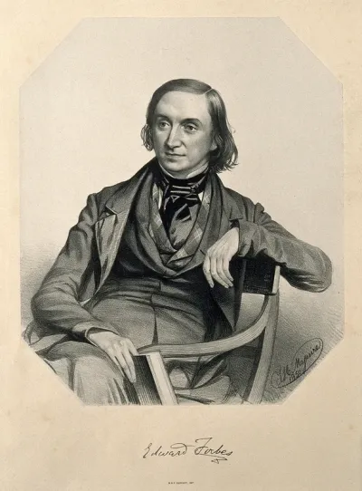 Edward Forbes. Lithograph by T. H. Maguire, 1850