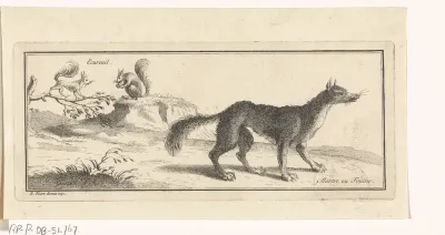 Eekhoorns en een marter