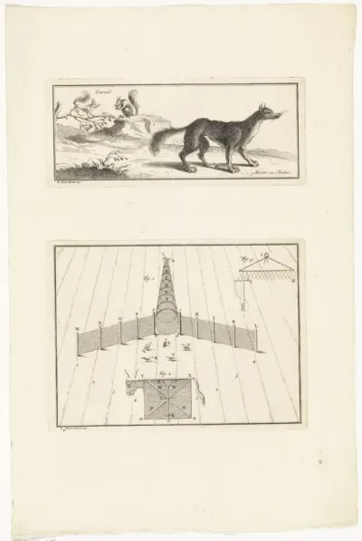 Eekhoorns, marter en vogelfuik