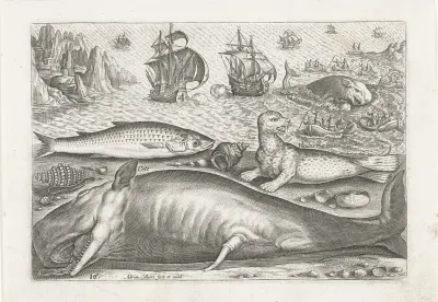 Een harder, een zeeleeuw en een walvis op het strand