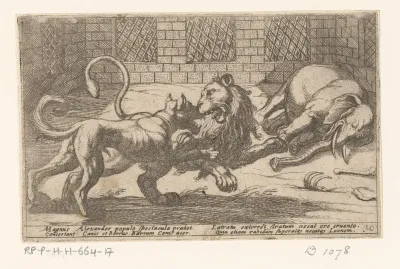 Een hond, een leeuw en een olifant in een kooi