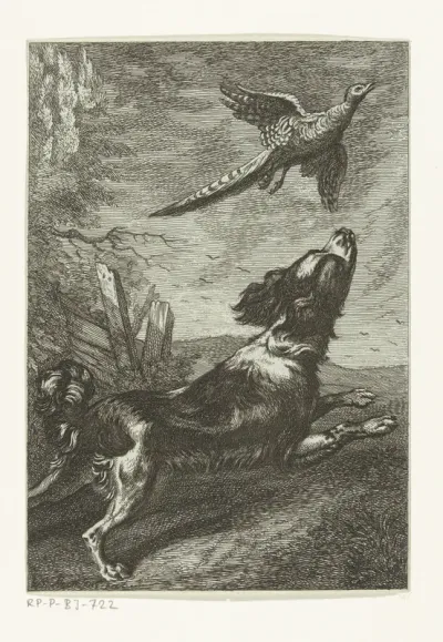 Een hond jaagt een vogel