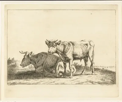 Een koe en een kalf in een weiland
