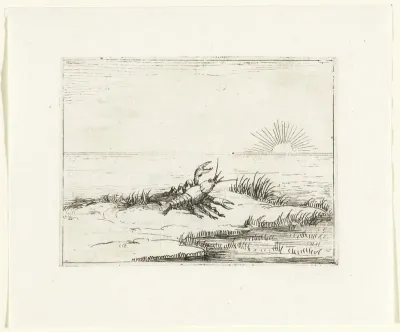 Een kreeft kijkt naar de zon