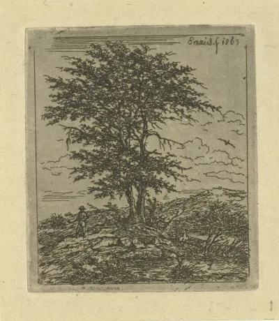 Een landschap met een boom
