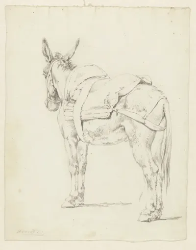 Een muilezel
