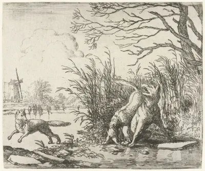 Een nieuwe beschuldiging door de wolf