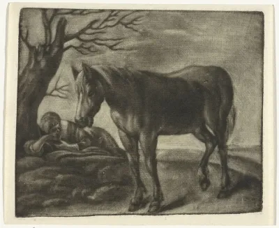 Een paard en een slapende man