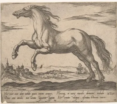 Een paard naar links galopperend