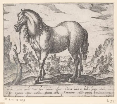 Een paard vastgemaakt aan een boomstronk