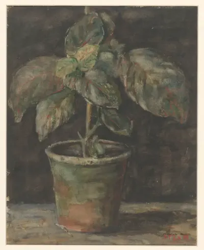 Een potplant