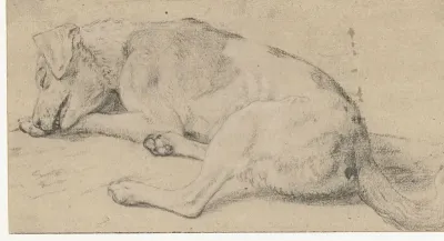 Een slapende hond