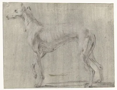 Een staande hond, van opzij gezien