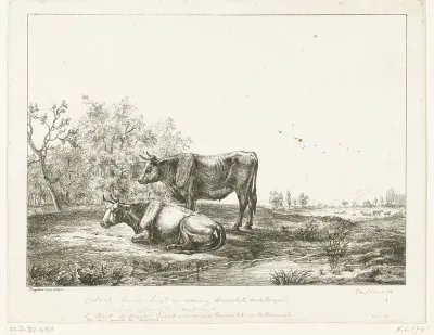 Een stier en een koe in een weiland