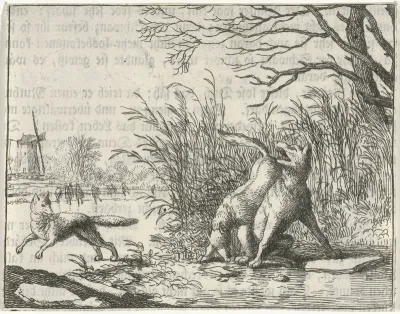Een verdere beschuldiging door de wolf