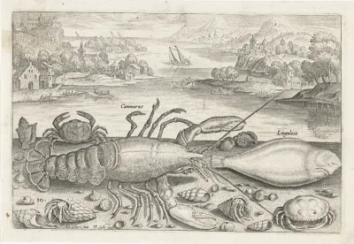 Een vis en enkele schaaldieren op het strand