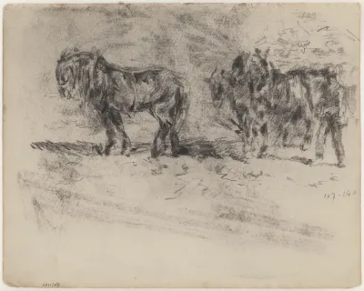 Een Zeeuws paardengespan