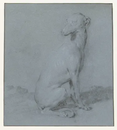 Een zittende hond, van opzij gezien