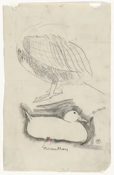 Eend en andere watervogel
