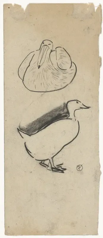 Eend en een zittende vogel