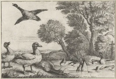 Eenden