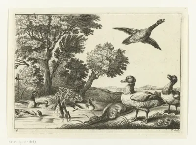 Eenden