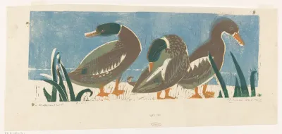 Eenden aan 't riet