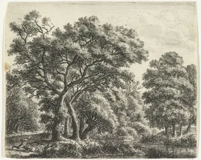 Eendenjager