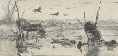 Eendenkooien in een waterpartij
