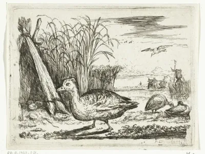 Eendennest