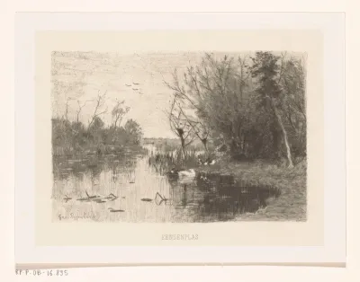 Eendenplas