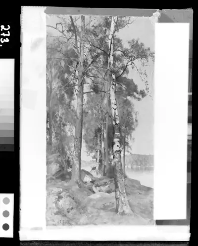 Eero Järnefelt: "Koivu" vuodelta 1890