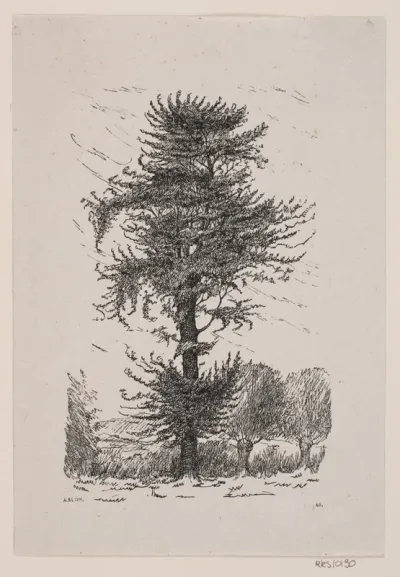 Eg ved Guldberg