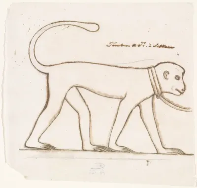 Egyptische reliëfsculptuur: een aap