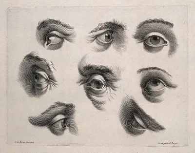 Eight eyes. Engraving after C. Le Brun