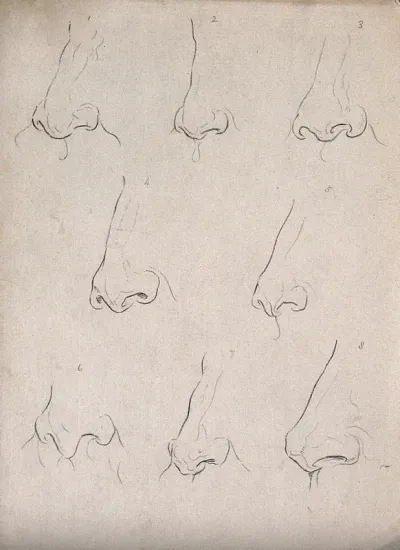 Eight noses. Drawing, c. 1794