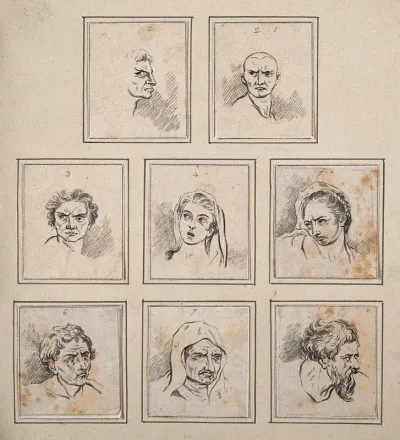 Eight physiognomies