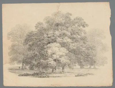 Eikenbomen