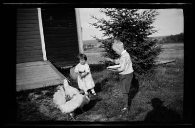 Eläinten ruokinta