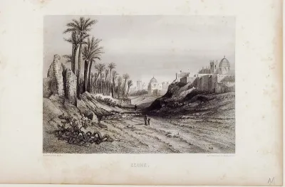 Elche [Material gráfico]
