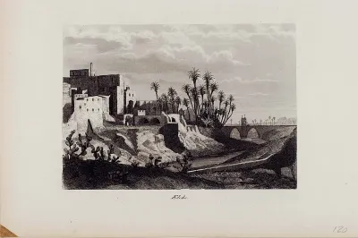 Elche [Material gráfico]