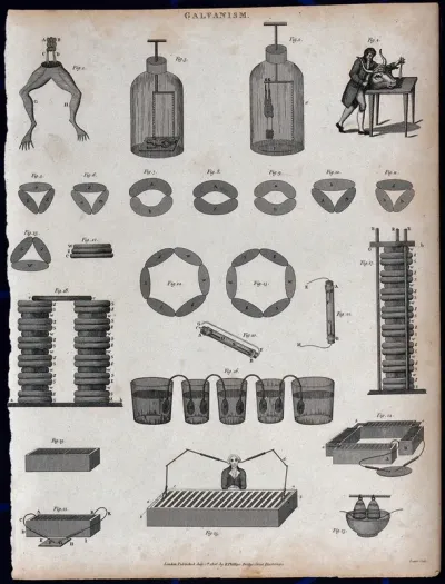 Electricity: electrical equipment, batteries, etc., and frogs' legs