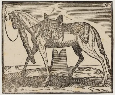 Elegant opsadlet hest, tøjret ved v. indramningslinje, profil mod v.; under hestens bug ses en ruineret