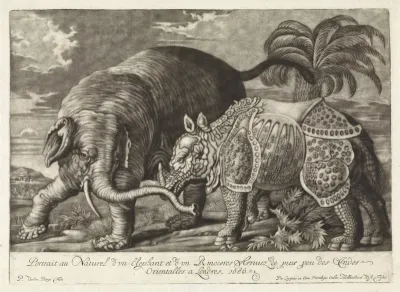 Elephant and Rhinoceros