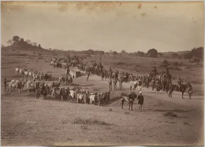 Elephant Battery on March at Jhansi