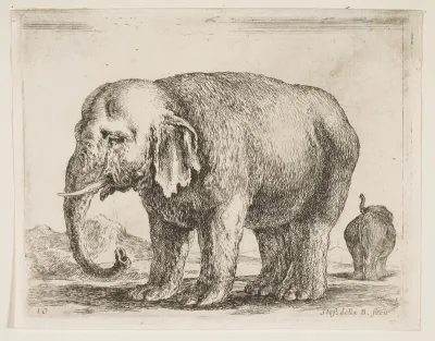 Elephant, plate 10 from "Various Animals" (Diversi Animali)